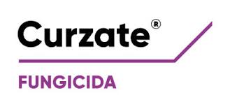 Curzate